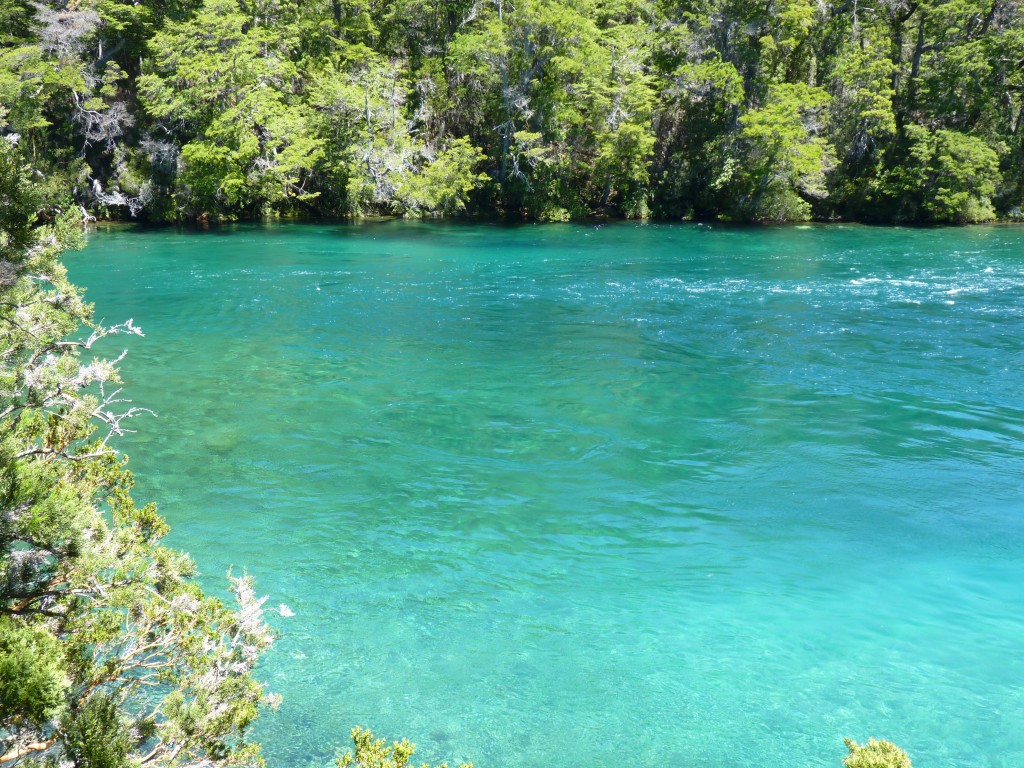 Foto: Río Menéndez. - Parque Nacional Los Alerces (Chubut), Argentina