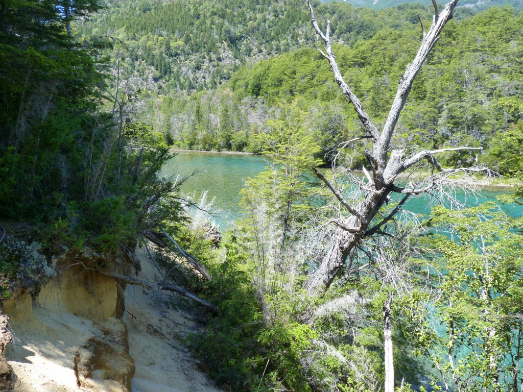 Foto: Río Menéndez. - Parque Nacional Los Alerces (Chubut), Argentina