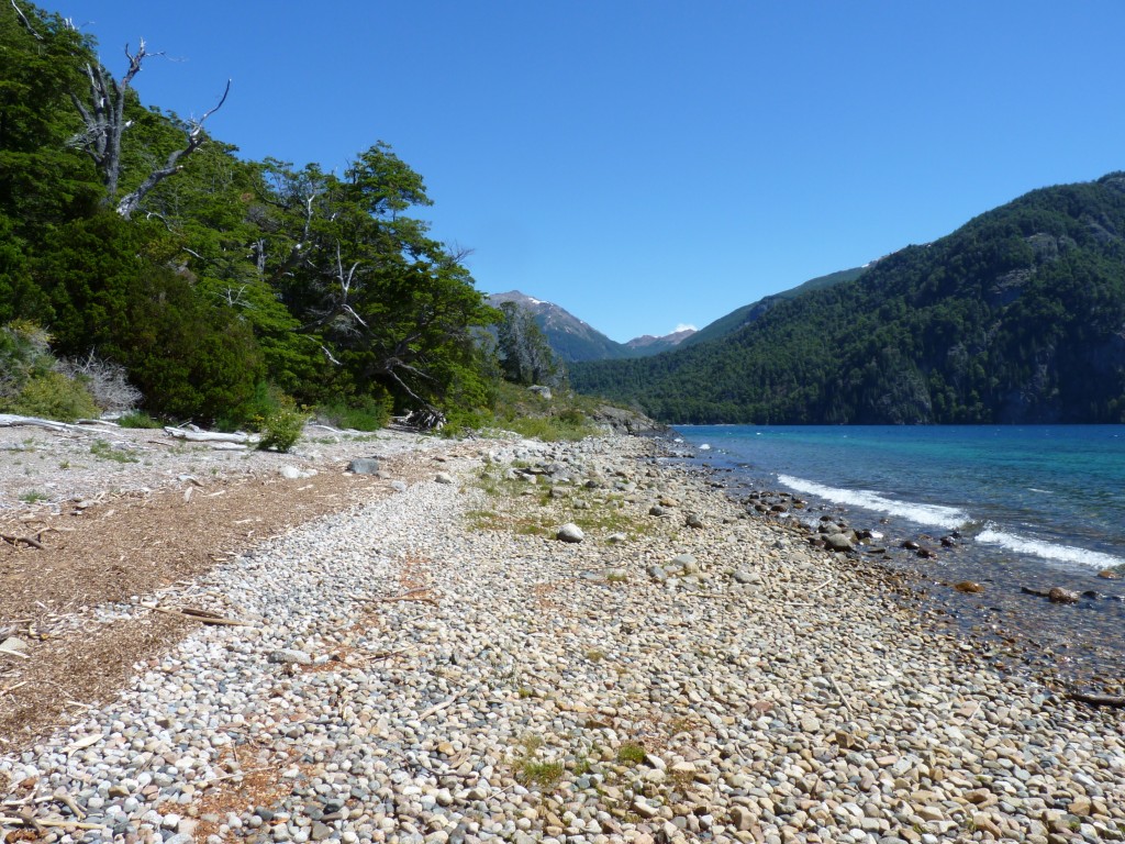 Foto: Lago Menéndez. - Parque Nacional Los Alerces (Chubut), Argentina