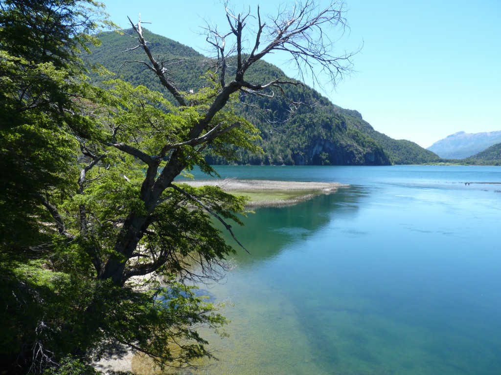 Foto: Reunión de los ríos Menéndez y Arrayanes. - Parque Nacional Los Alerces (Chubut), Argentina