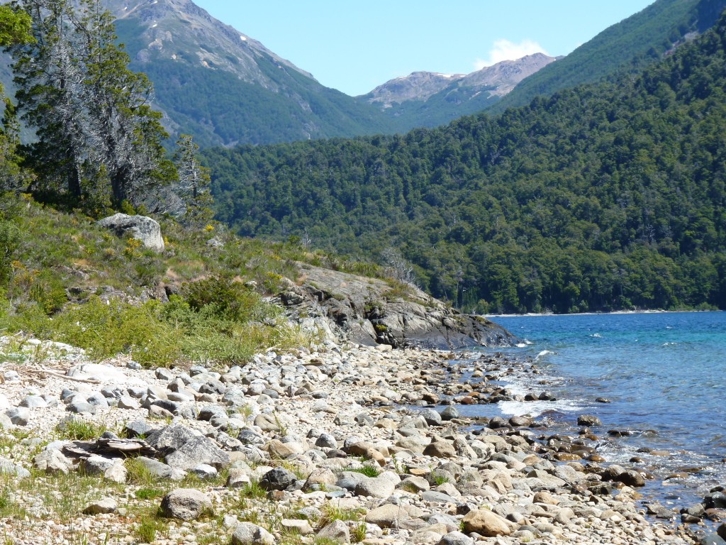 Foto: Lago Menéndez. - Parque Nacional Los Alerces (Chubut), Argentina