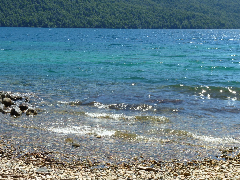Foto de Parque Nacional Los Alerces (Chubut), Argentina