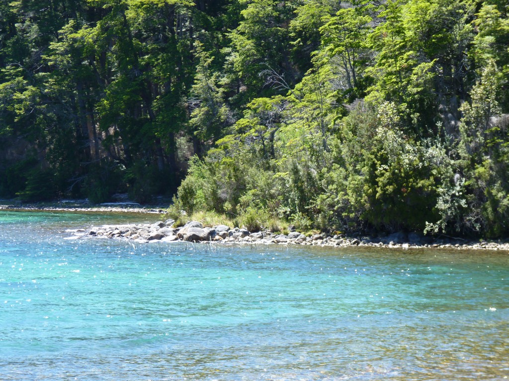 Foto: Lago Menéndez. - Parque Nacional Los Alerces (Chubut), Argentina