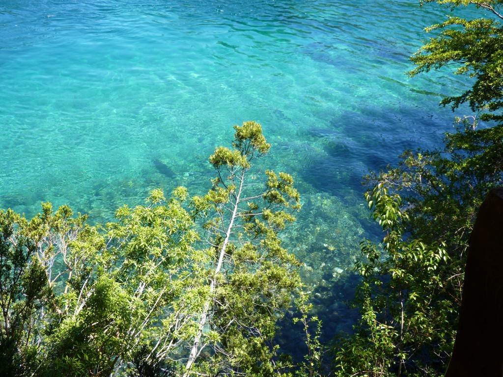 Foto: Río Menéndez. - Parque Nacional Los Alerces (Chubut), Argentina
