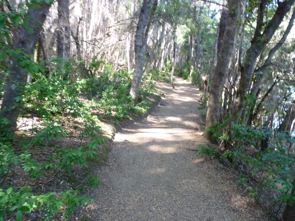 Foto: Lago Menéndez. - Parque Nacional Los Alerces (Chubut), Argentina