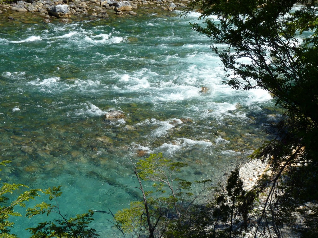 Foto: Río Menéndez. - Parque Nacional Los Alerces (Chubut), Argentina