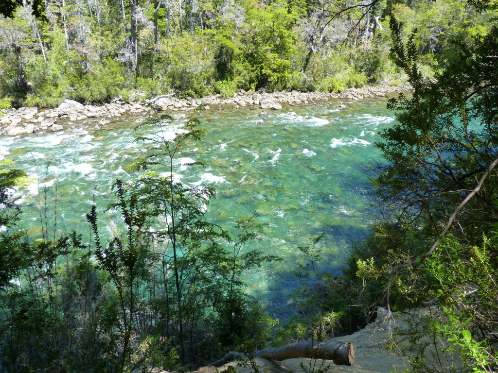 Foto: Río Menéndez. - Parque Nacional Los Alerces (Chubut), Argentina