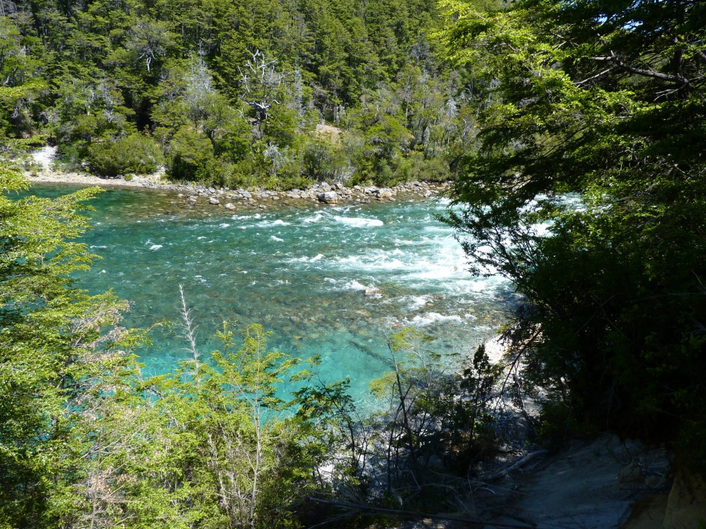 Foto: Reunión de los ríos Menéndez y Arrayanes. - Parque Nacional Los Alerces (Chubut), Argentina