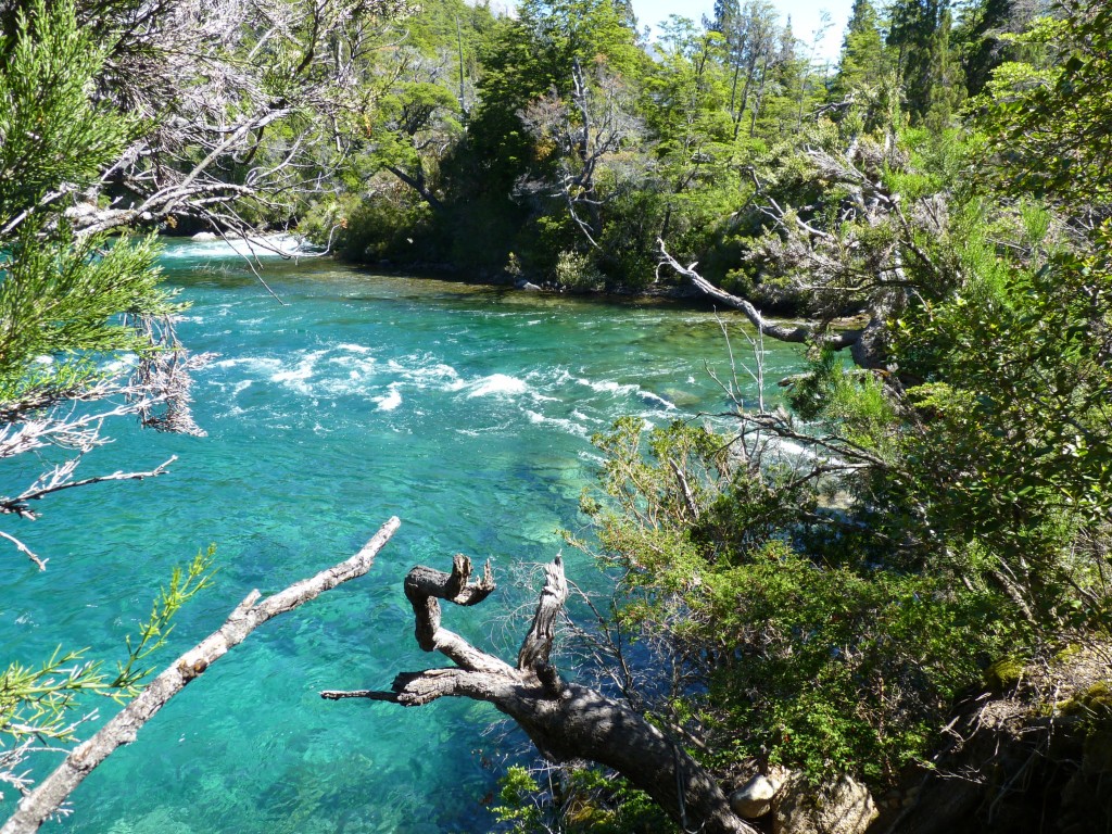 Foto: Lago Menéndez y al fondo el glaciar Torrecillas. - Parque Nacional Los Alerces (Chubut), Argentina