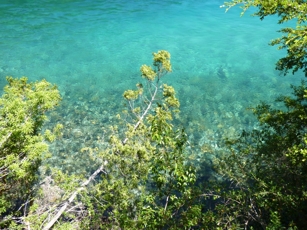 Foto: Río Menéndez. - Parque Nacional Los Alerces (Chubut), Argentina
