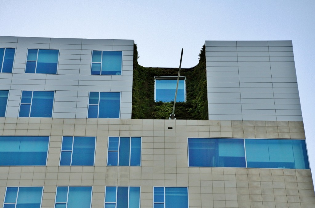 Foto: Navegando - Amsterdam (North Holland), Países Bajos