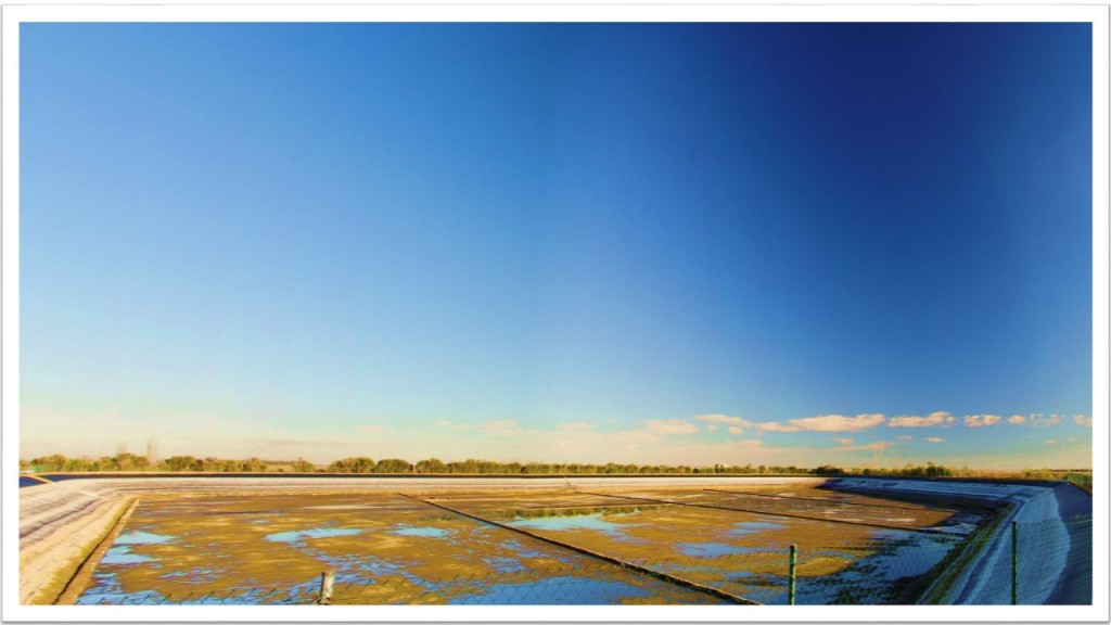 Foto: Panorámica del Embalse  camino de Villamañan - Zuares Del Paramo (León), España