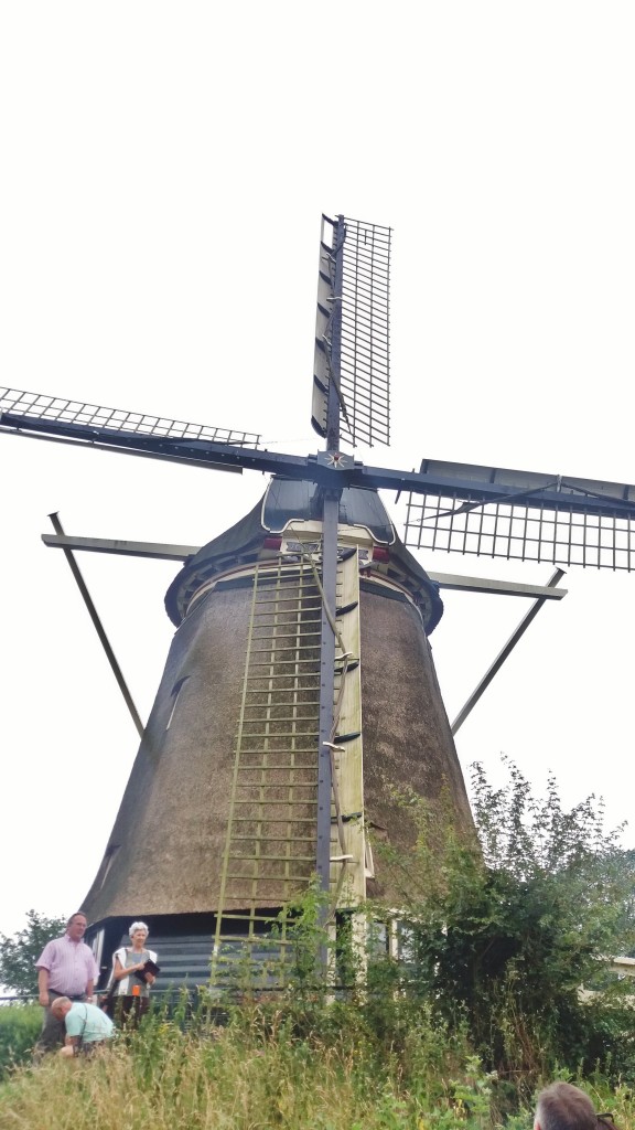 Foto: Molino - Amsterdam (North Holland), Países Bajos