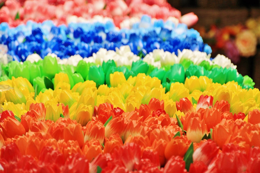 Foto: Mercado de las flores - Amsterdam (North Holland), Países Bajos