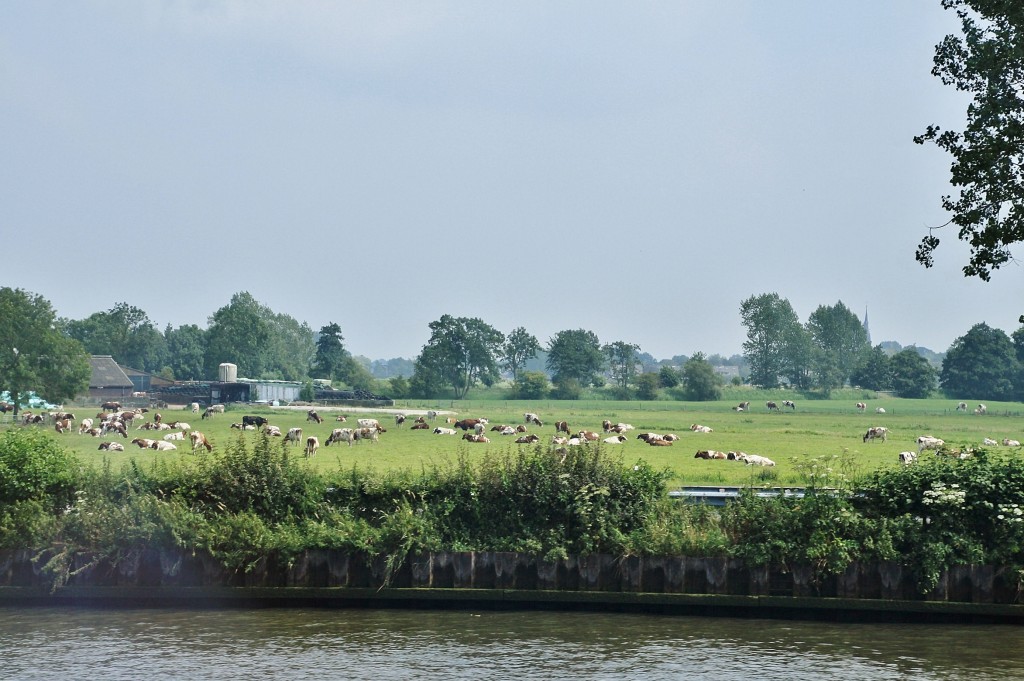 Foto: Navegando - Amsterdam (North Holland), Países Bajos