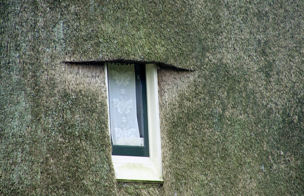 Foto: Molino - Amsterdam (North Holland), Países Bajos