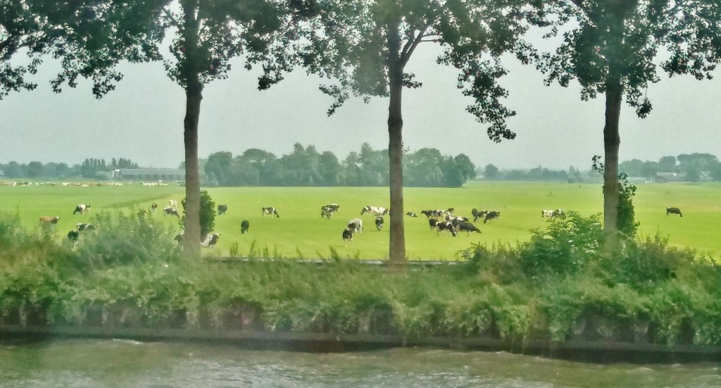 Foto: Navegando - Amsterdam (North Holland), Países Bajos