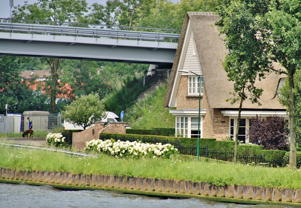 Foto: Navegando - Amsterdam (North Holland), Países Bajos