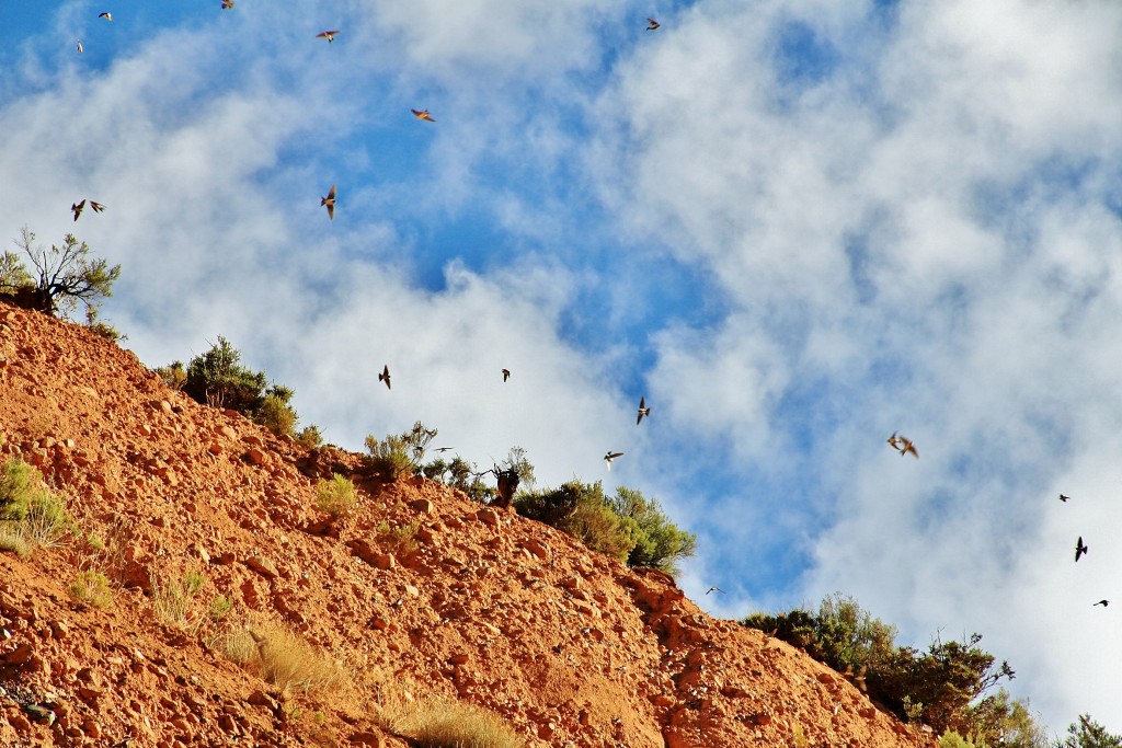 Foto: Paisaje - Las Médulas (León), España