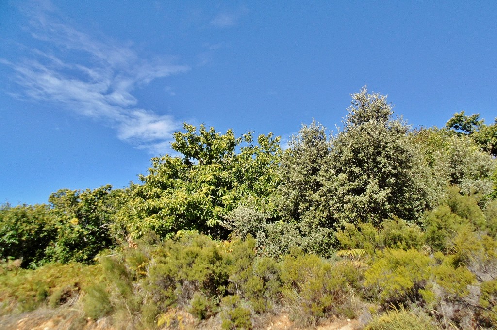 Foto: Paisaje - Las Médulas (León), España