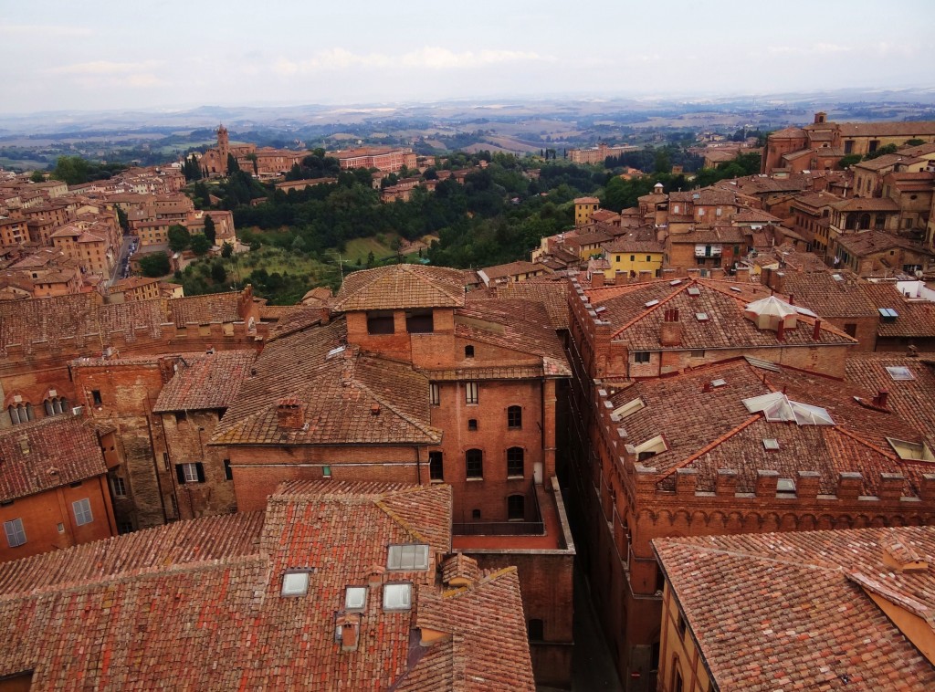 Foto: Panorama Del Duomo - Siena (Tuscany), Italia