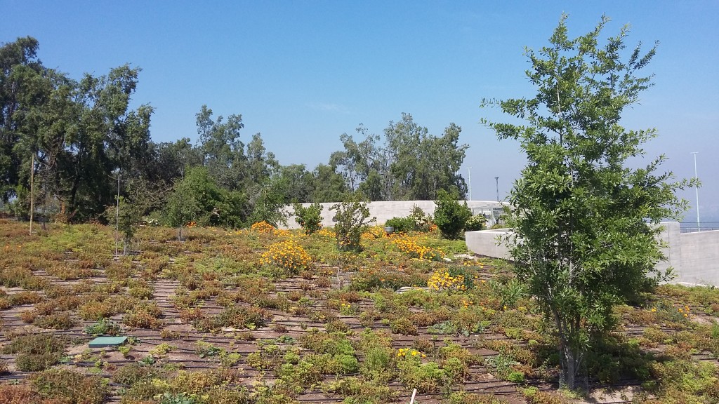 Foto: Templo Bahai - Santiago (Región Metropolitana), Chile