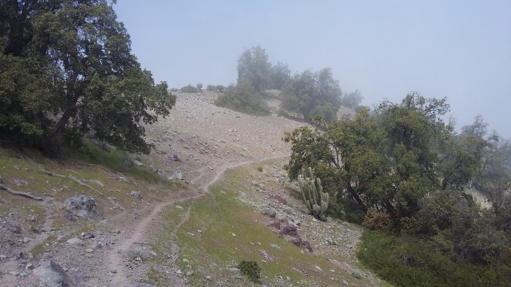 Foto: Poza Azul - Salamanca (Coquimbo), Chile