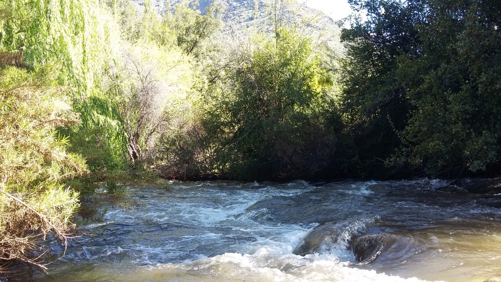 Foto: Illapel - Illapel (Coquimbo), Chile