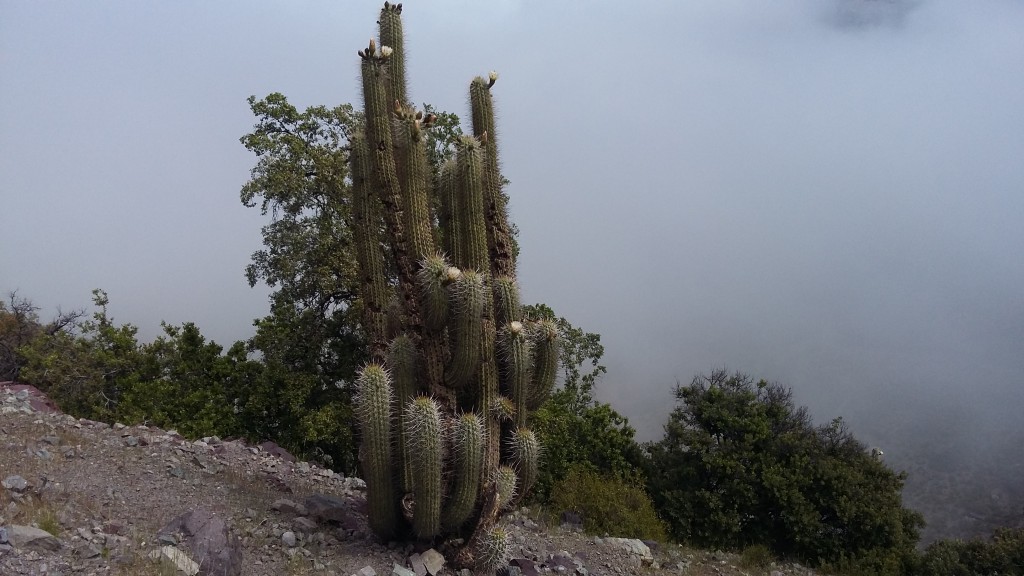Foto: Poza Azul - Salamanca (Coquimbo), Chile