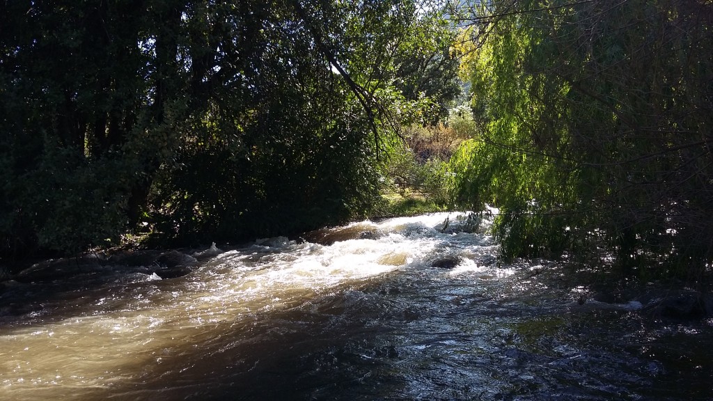 Foto: Illapel - Illapel (Coquimbo), Chile