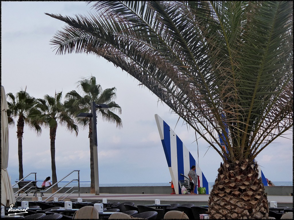 Foto: 170915-02 OROPESA DEL MAR - Oropesa Del Mar (Castelló), España