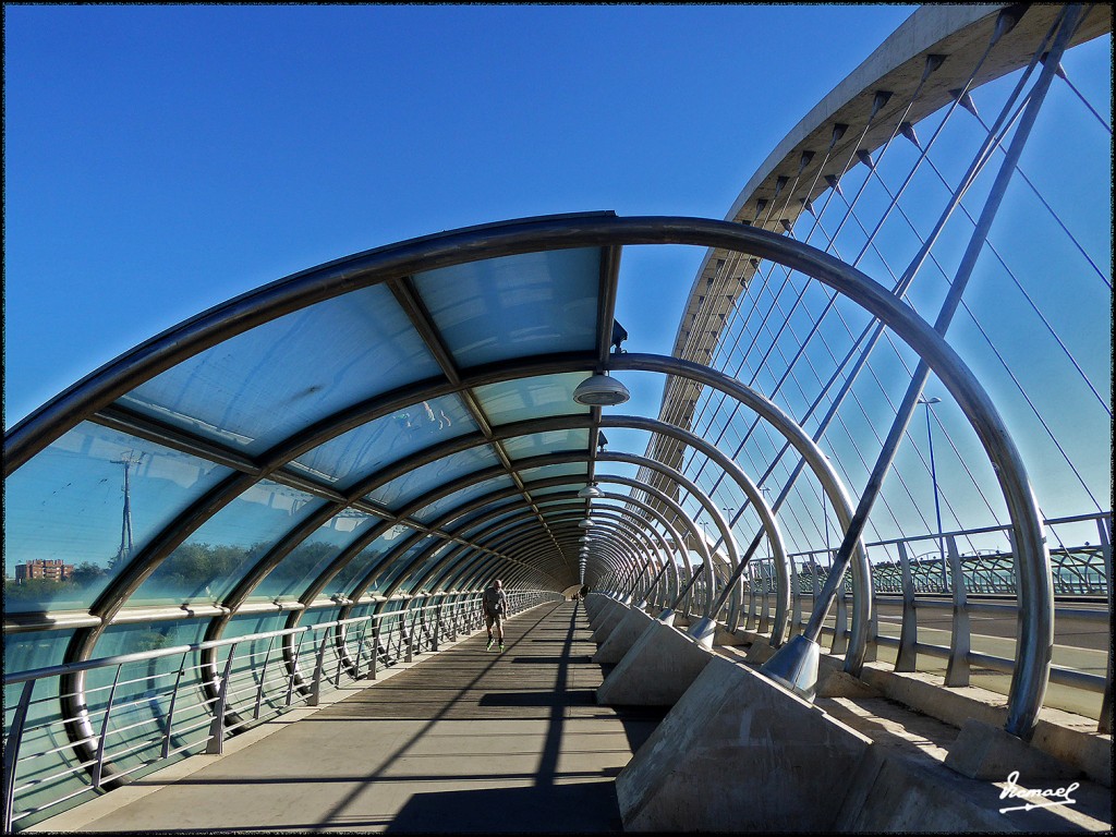 Foto: 171009-001 ZARAGOZA RANILLAS - Zaragoza (Aragón), España