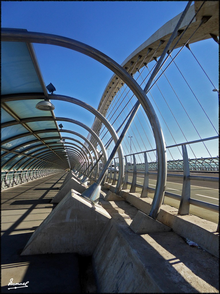 Foto: 171009-002 ZARAGOZA RANILLAS - Zaragoza (Aragón), España