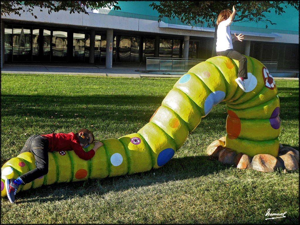 Foto: 171009-034 ZARAGOZA RANILLAS - Zaragoza (Aragón), España