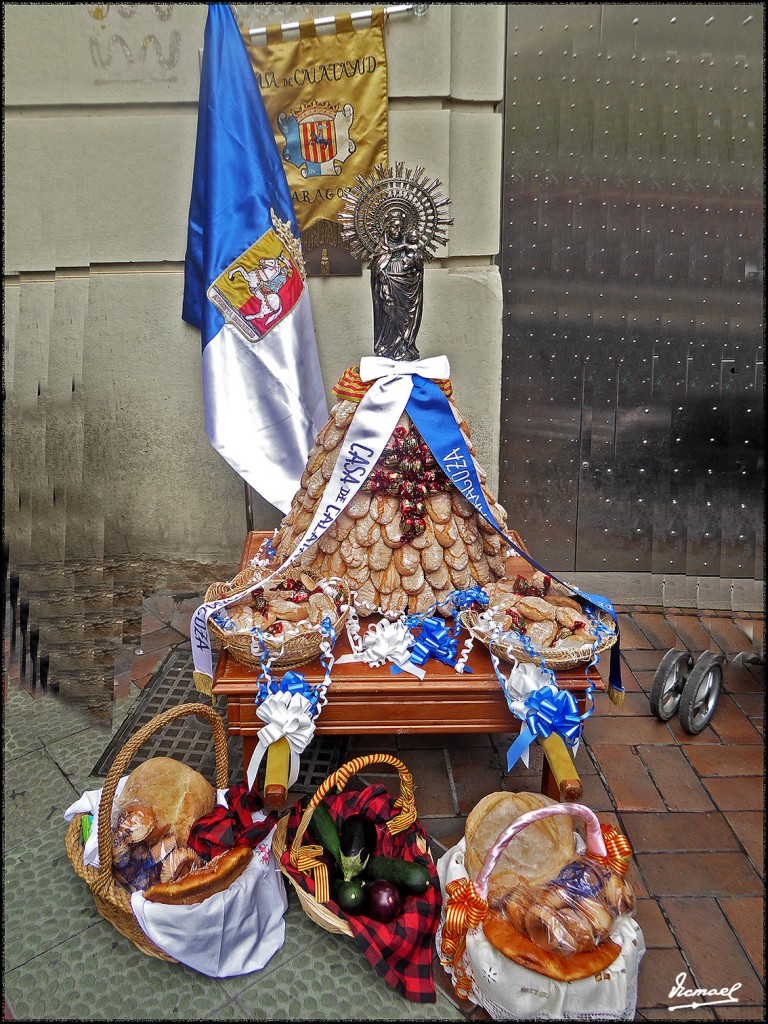 Foto: 171013-003 ZARAGOZA OF FRUTOS - Zaragoza (Aragón), España