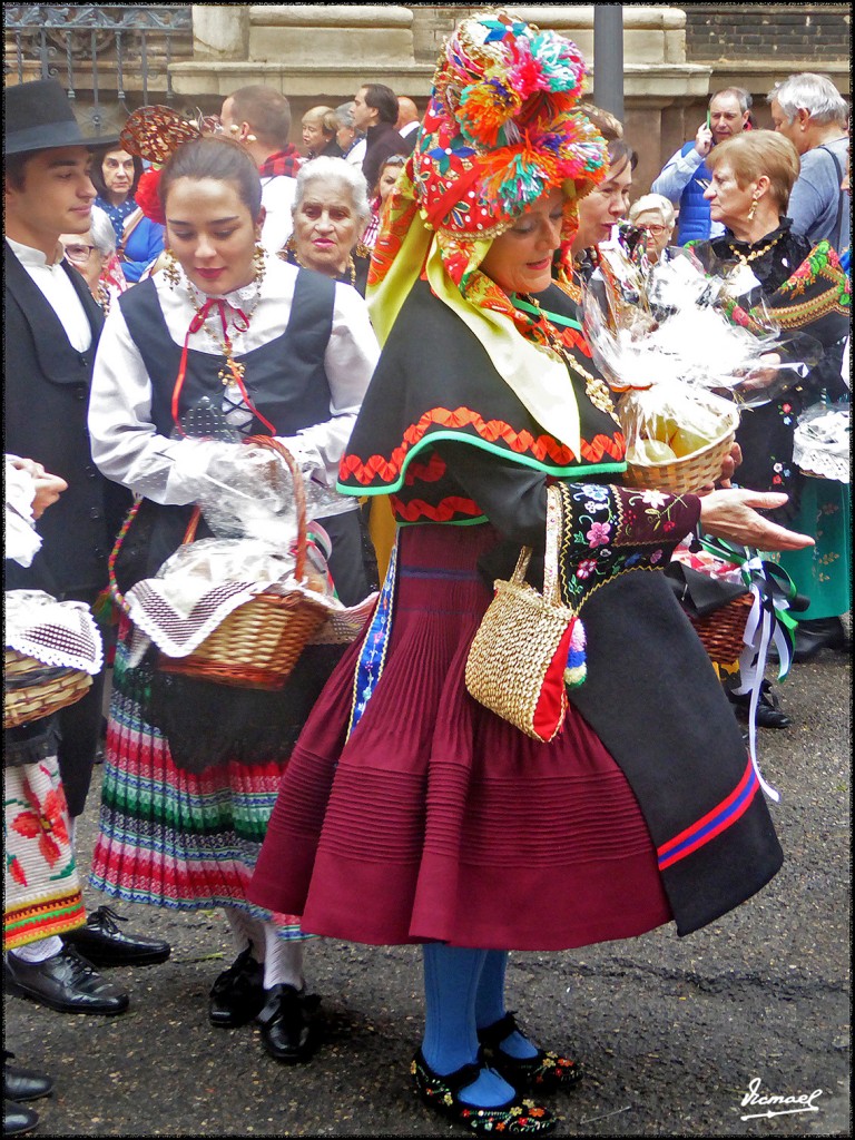 Foto: 171013-029 ZARAGOZA OF FRUTOS - Zaragoza (Aragón), España