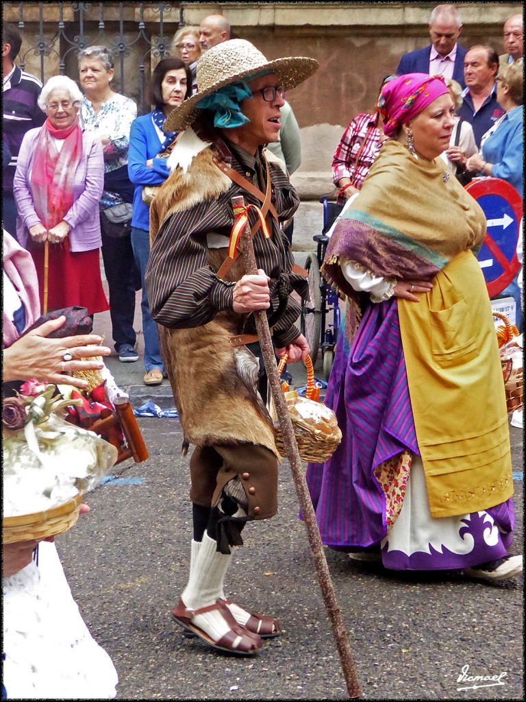 Foto: 171013-055 ZARAGOZA OF FRUTOS - Zaragoza (Aragón), España