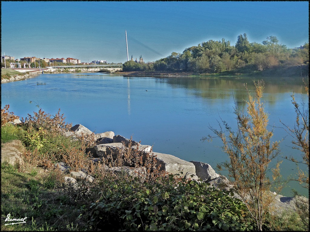 Foto: 171009-014 ZARAGOZA RANILLAS - Zaragoza (Aragón), España