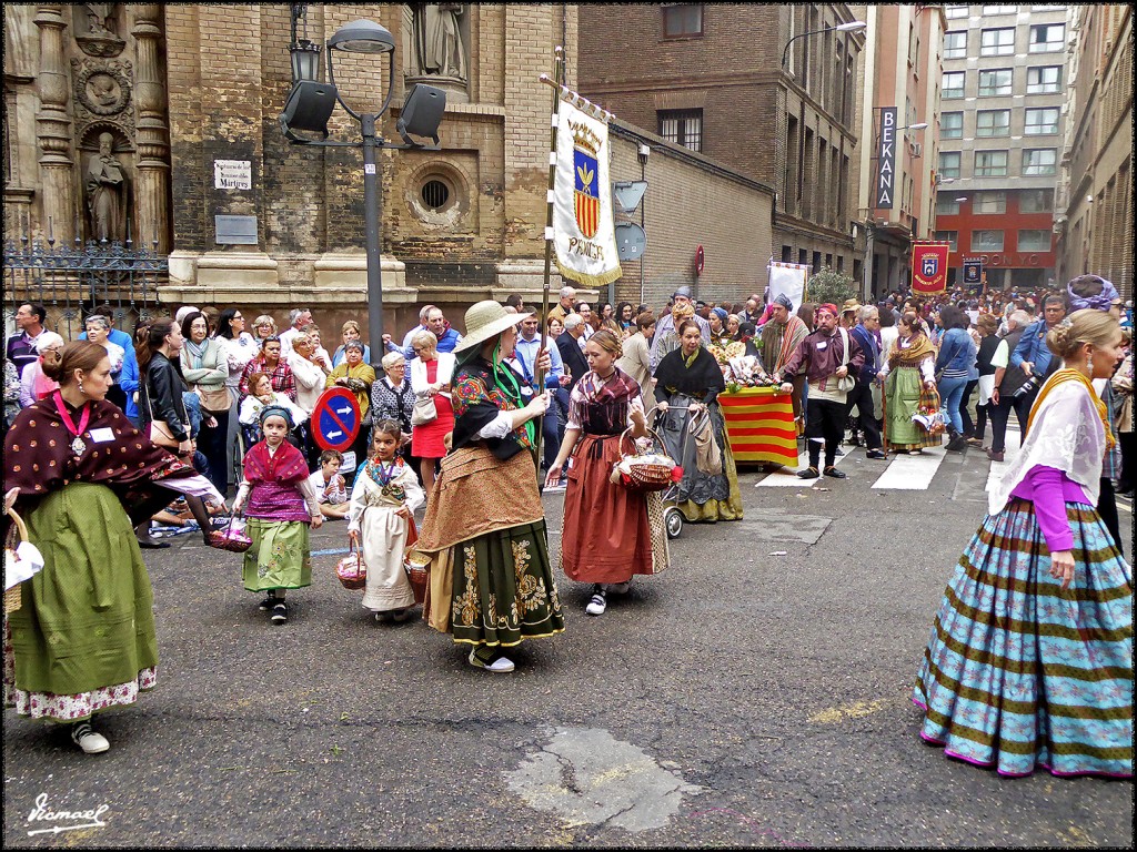 Foto: 171013-089 ZARAGOZA OF FRUTOS - Zaragoza (Aragón), España