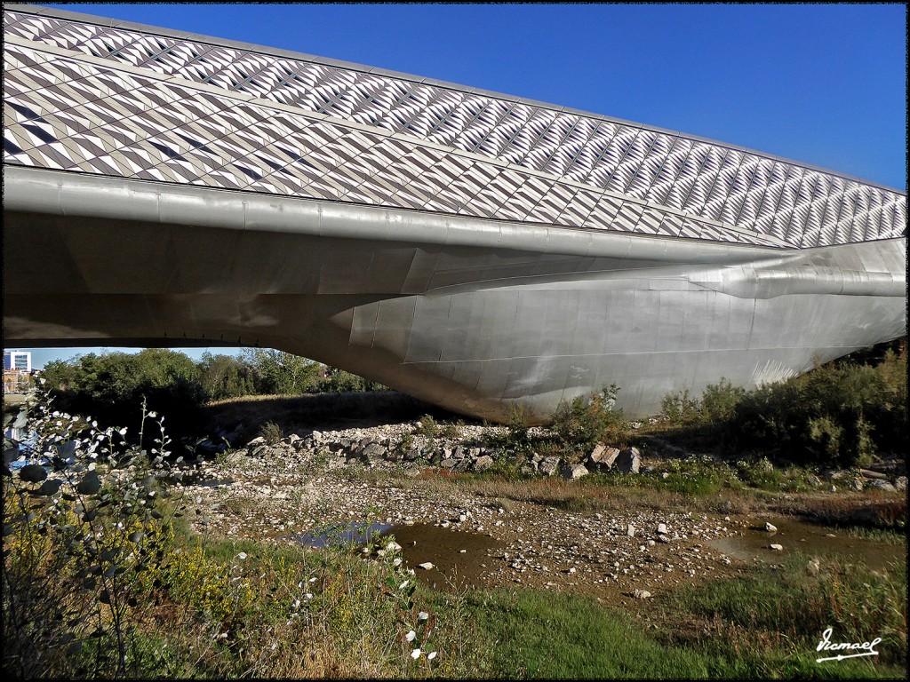 Foto: 171009-006 ZARAGOZA RANILLAS - Zaragoza (Aragón), España