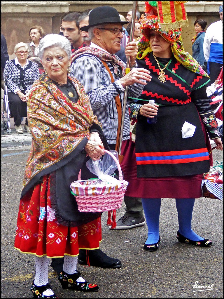 Foto: 171013-019 ZARAGOZA OF FRUTOS - Zaragoza (Aragón), España