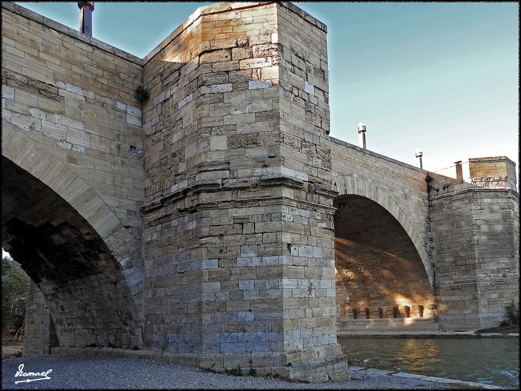 Foto: 171023-041 ZARAGOZA - Zaragoza (Aragón), España