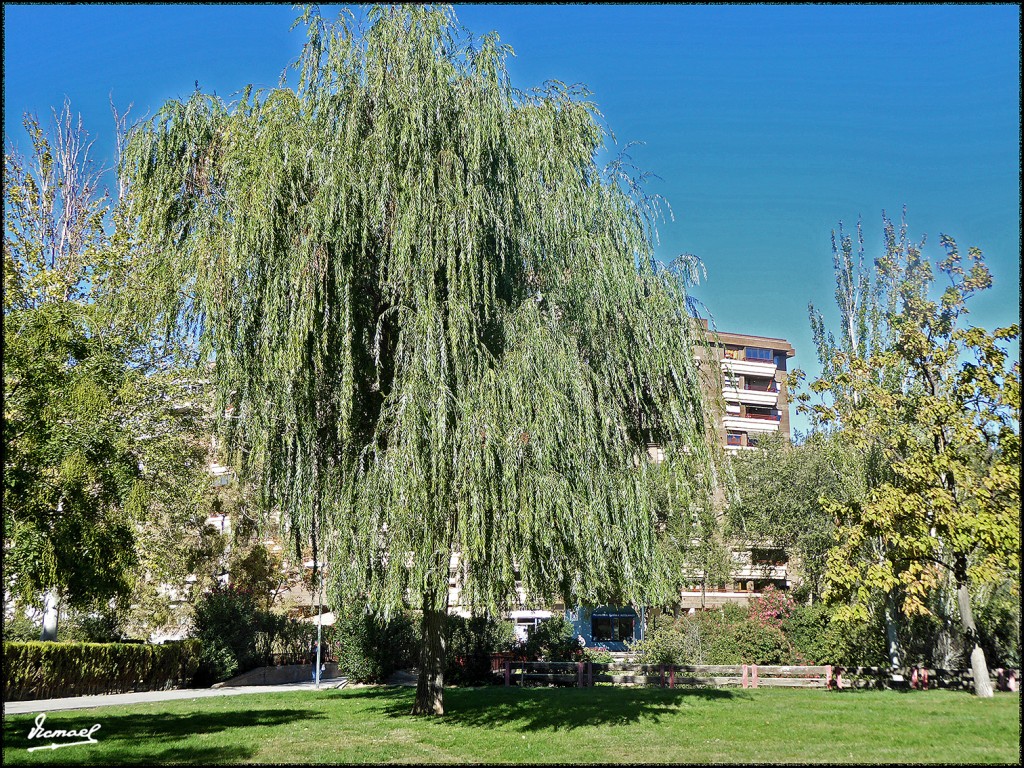 Foto: 171023-002 ZARAGOZA - Zaragoza (Aragón), España