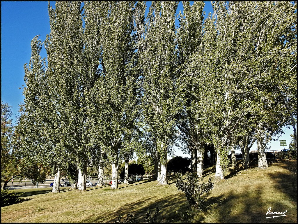 Foto: 171023-015 ZARAGOZA - Zaragoza (Aragón), España