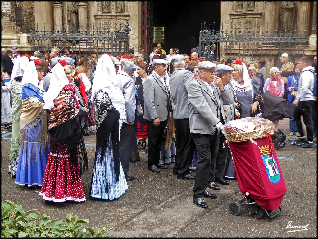Foto: 171013-036 ZARAGOZA OF FRUTOS - Zaragoza (Aragón), España