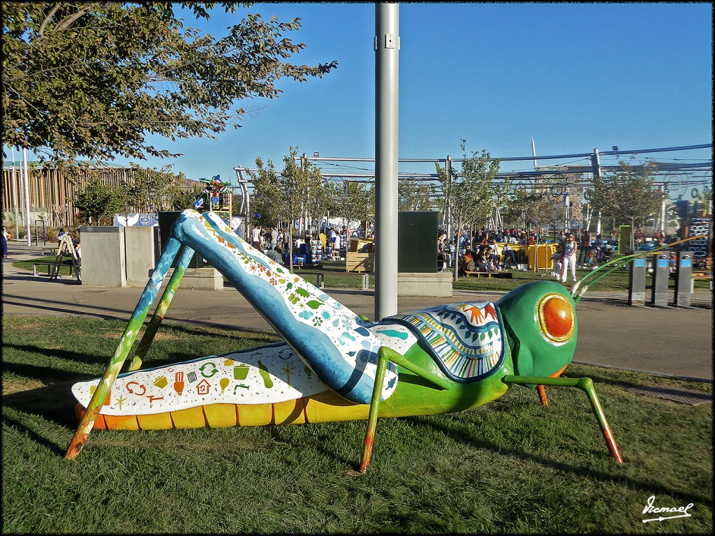 Foto: 171009-031 ZARAGOZA RANILLAS - Zaragoza (Aragón), España