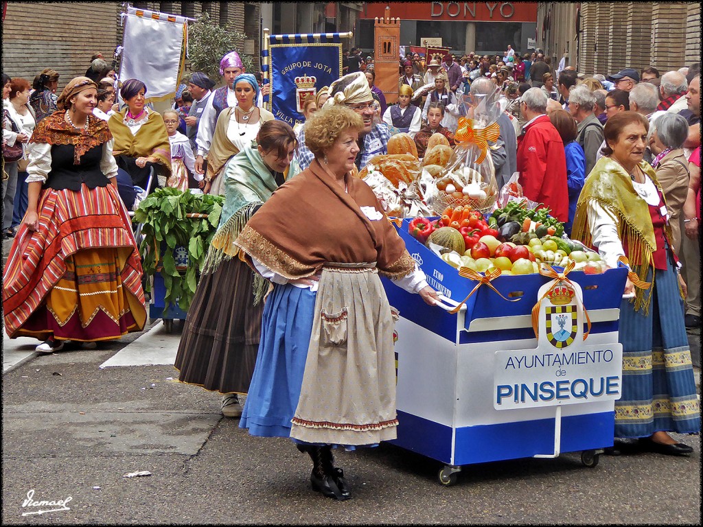 Foto: 171013-092 ZARAGOZA OF FRUTOS - Zaragoza (Aragón), España