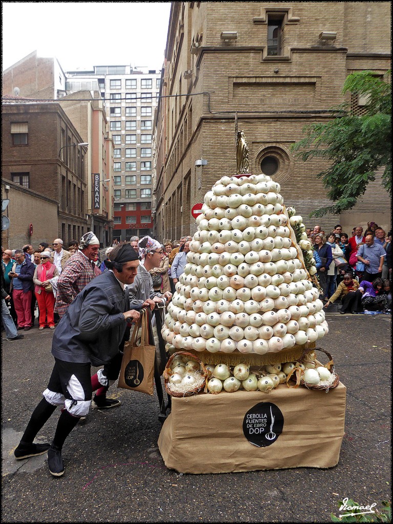 Foto: 171013-160 ZARAGOZA OF FRUTOS - Zaragoza (Aragón), España