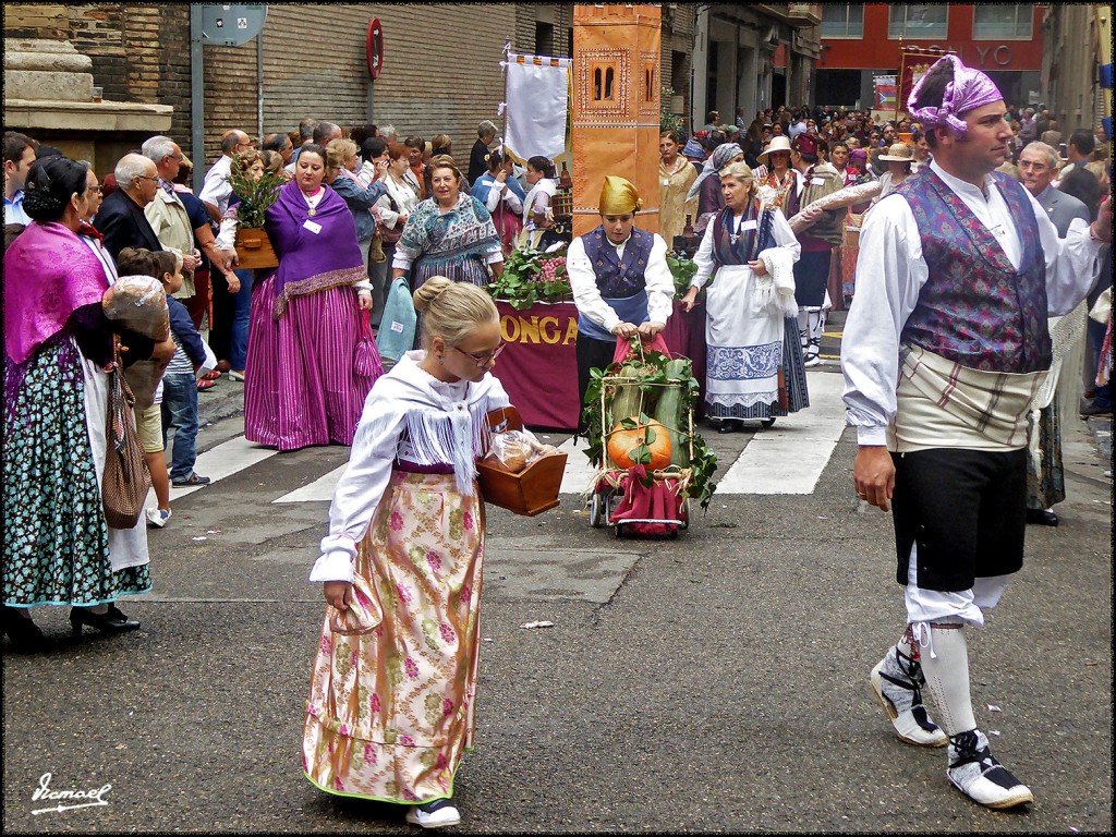Foto: 171013-094 ZARAGOZA OF FRUTOS - Zaragoza (Aragón), España