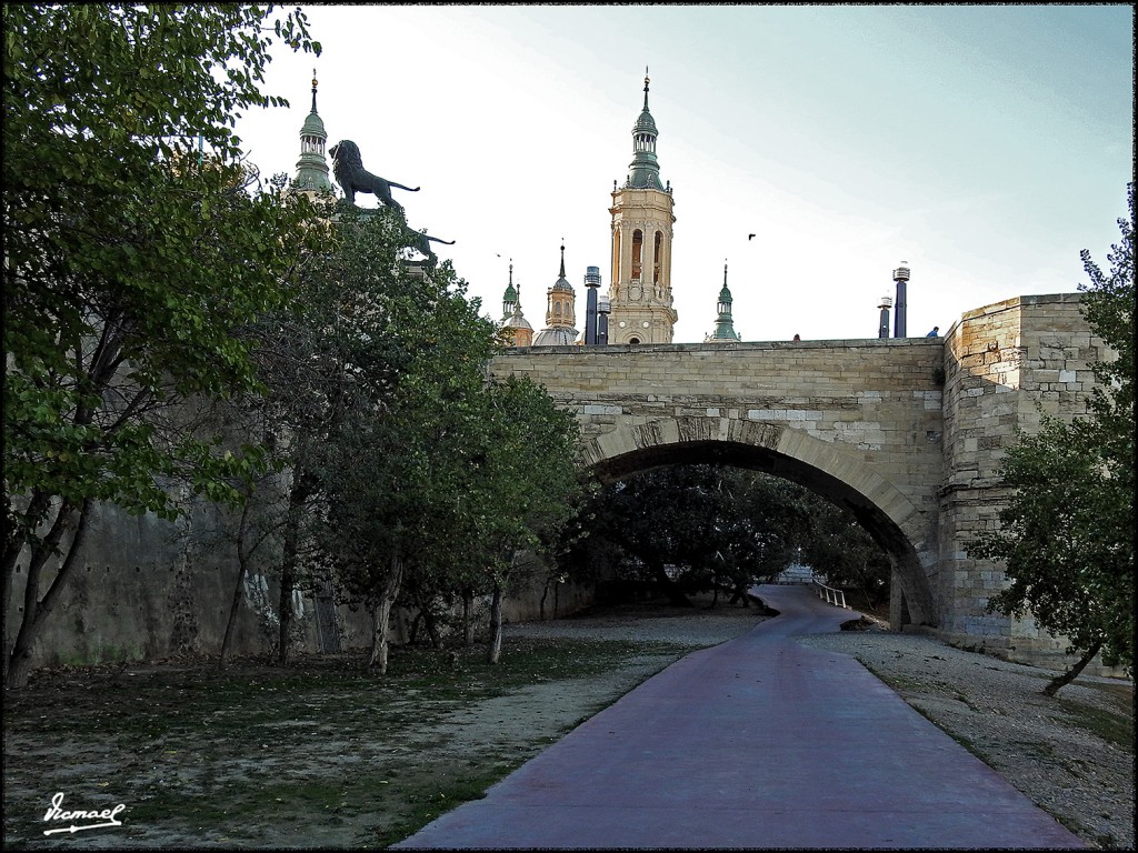 Foto: 171023-038 ZARAGOZA - Zaragoza (Aragón), España